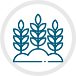 Agricultura y Forestal